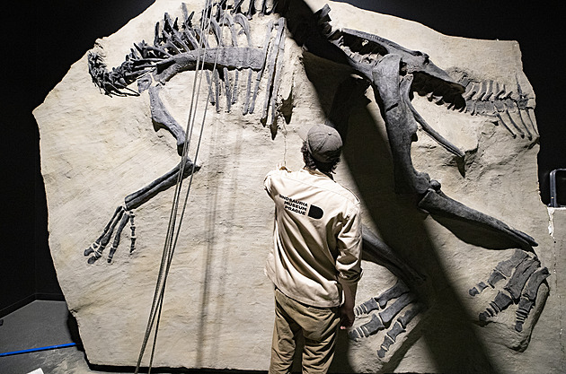 Na Edmontosaura s krumpáčem i bagrem. Jeho kostru instalovali v Dinosauriu