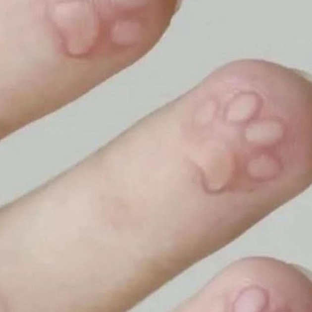 Je ještě kam klesat? Streameři se nechávají mučit a ponižovat za peníze