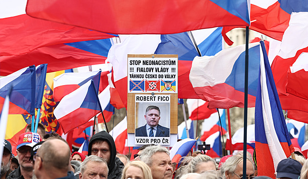 Vláda je asociální a vyzývám ji k demisi, řekl Rajchl na protivládní demonstraci