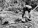 Don McCullin od edesátých let fotografoval konflikty v Kongu, Libanonu,...
