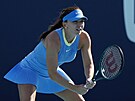 Rumunská tenistka Simona Halepová vykává na píjmu v prvním kole turnaje v...