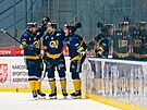 20. 03. 2024. HC Stadion Litomice - Berani Zln, Chance liga, druh zpas...