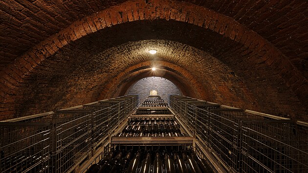 V rodinn�m vina�stv� Pitra na B�eclavsku vyrob� ka�d� rok tis�ce lahv�, v posledn�ch letech vysadili nov� vinohrad, stavebn� vylep�ili skl�pek a dali vina�stv� kompletn� novou zna�ku.