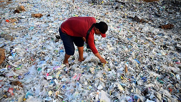 Do sbru odpadk na plch na Bali se zapojili i turist. (19. bezna 2024)