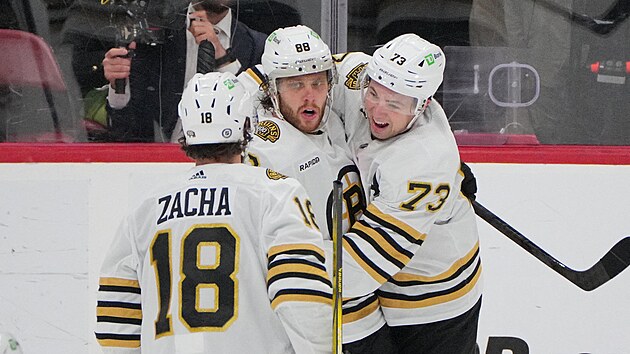 David Pastr��k (uprost�ed) slav� se spoluhr��i Pavlem Zachou  (vlevo) a Charliem McAvoyem g�l v z�pase s Floridou.