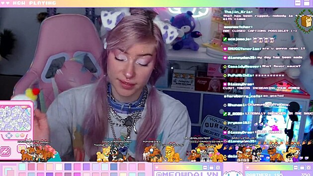Streamerka Meow Dalyn se identifikuje jako pes