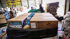 Kontejnerové systémy (CDS) britských ozbrojených sil s humanitární pomocí,...