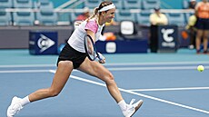 Bloruska Viktoria Azarenková dobíhá míek ve tvrtfinále akce v Miami.
