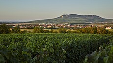 Rodinné vinaství Pitra sídlí v Dolních Dunajovicích pod Pálavou.