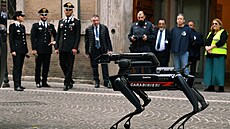 Robotický policejní pes díky umlé inteligenci dokáe chodit po mst,...