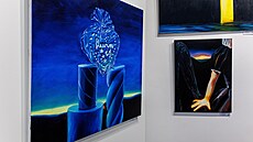 V olomoucké Galerii Rubikon si lze nyní prohlédnout díla malí�ky Kláry Sedlo na...