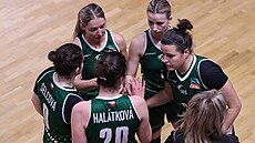 Basketbalistky SB� Ostrava se domlouvají.