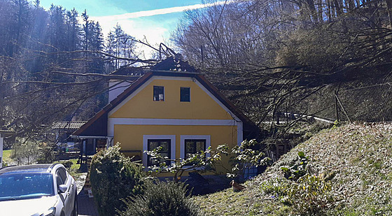 V Äesk©m  ternberku spadl strom na rodinný dům, událost se obešla bez zranÄn­
