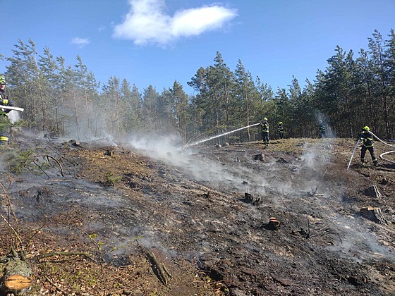 HasiÄi zlikvidovali požár zbytků pokácených stromů na Lounsku