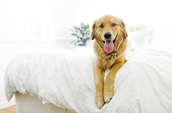 ilustra�ní snímek