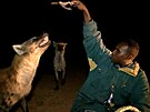 Divoké hyeny vyvolávají v etiopské oblasti Harar obdiv. Lidé je chodí krmit