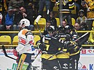 Gólová radost litvínovských hokejist v zápase s Pardubicemi.