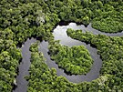 Ekologický význam detných prales Amazonie nikterak nesniuje to, e je mnohem...