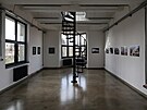 Instalace v�stavy skupiny Pali�at� s n�zvem Domovina, v muzeu a galerii TOSTA v...