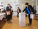 Druhé kolo prezidentských voleb na Slovensku (6. dubna 2024)