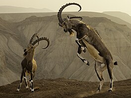 Dovolují nám nahlédnout sv�t z jiné perspektivy, ocenit majestátnost, pestrost,...