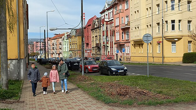 V Duchcovsk ulici v Teplicch magistrt povolil vykcet 11 vzrostlch strom, musely ustoupit rekonstrukci kanalizace a vodovodu.