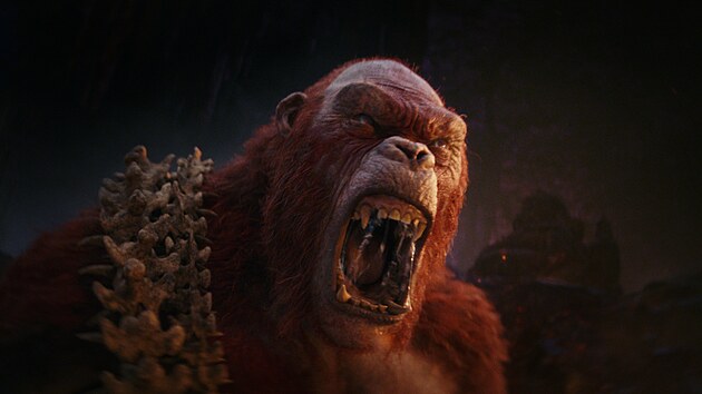 Zbr z filmu Godzilla x Kong: Nov imprium