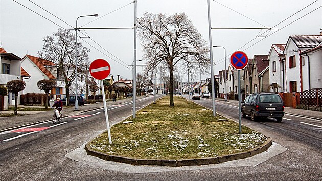 Na ticet jasan a lip padlo v ulici Na Drahch v Hradci Krlov. (leden 2014)