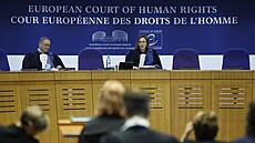 Evropský soud pro lidská práva (ESLP) rozhodl, e nesplnní dívjích cíl...