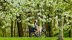 Nakonec ale nebylo tak horko jako o víkendu, teploty nevystoupily nad t�icítku....