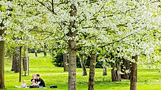 Rekordní teploty pro dne�ní den nakonec padly na 123 stanicích. Nejvíc bylo v...