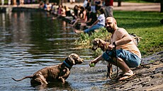 Extrémn� vysoké teploty vyhnaly Pra�any k vod� �i jen tak do p�írody. Padaly...