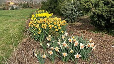 Jan Mejst�ík otevírá arboretum ve V�enorech ji� pojedenácté. Dendrologické...