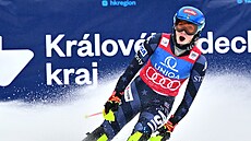 �ampionka. Americká ly�a�ka Mikaela Shiffrinová p�i Sv�tovém poháru ve...