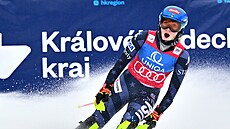 ampionka. Americká lyaka Mikaela Shiffrinová pi Svtovém poháru ve...