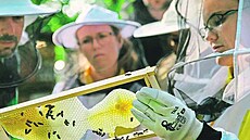 V�ela�ství není jen zp�sobem získání medu. Má také významný ekologický dopad....