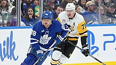 William Nylander (88) z Toronto Maple Leafs v zápase s Pittsburgh Penguins...