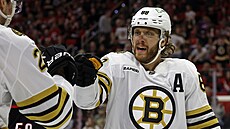 David Pastr�ák (88) z Boston Bruins se raduje z gólu.