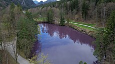 Syt fialová voda? Bavorské jezero zbarvily sirné bakterie