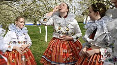 Chlapci, kteí letos pojedou Jízdu král, obcházejí na Velikononí pondlí s...