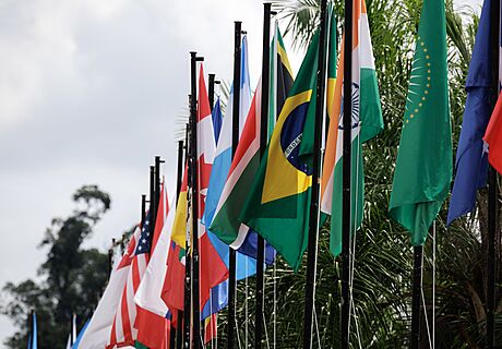 Vlajky zemí nejrozvinutjích svtových ekonomik bhem setkání jejich ministr...
