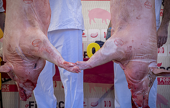 ezníci poráejí prasata na vepovém veletrhu v katalánském Riudellots de la...
