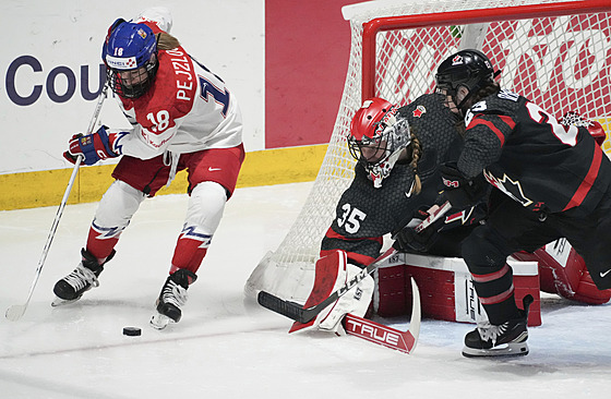 ilustra�ní snímek - Michaela Pejzlová (vlevo) 