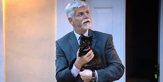Uhynula první kočka Micka, byla hvězdou Pavlovy prezidentské volební kampaně
