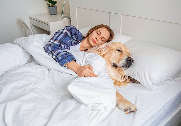 Co je dobré vědět o spánku. Kolik je ho potřeba i proč jsou lidé sovy a skřivani