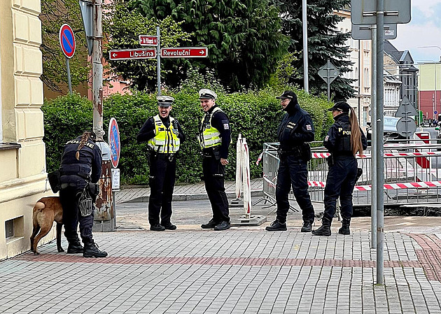 Soud hlídá policie, vstup je na kartičku. Začne jednání s aktivistou Zítkem