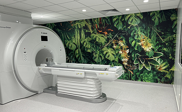 Magnetická rezonance, jí u disponuje i Nemocnice Pelhimov, je zobrazovací...