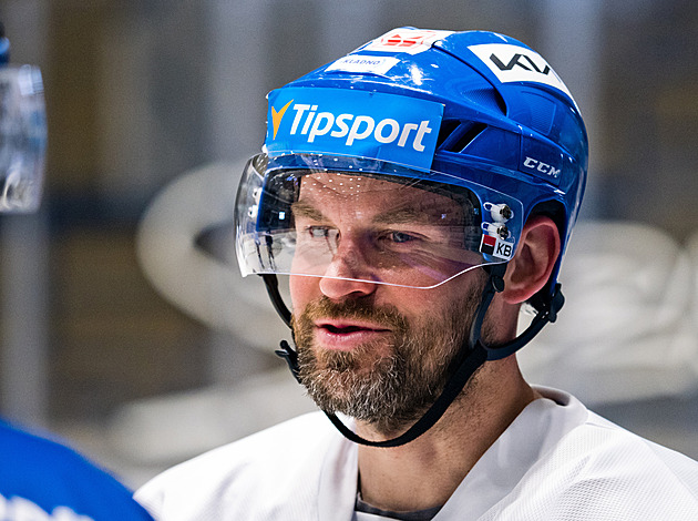 Když medaile nestačí. Kteří sportovci se představili v českých reality show?