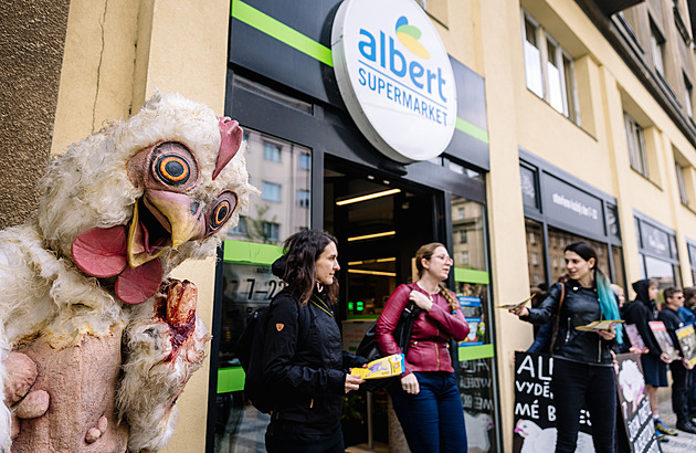 Vypelichané kuře protestovalo před Albertem. Ochráncům vadí kruté chovy