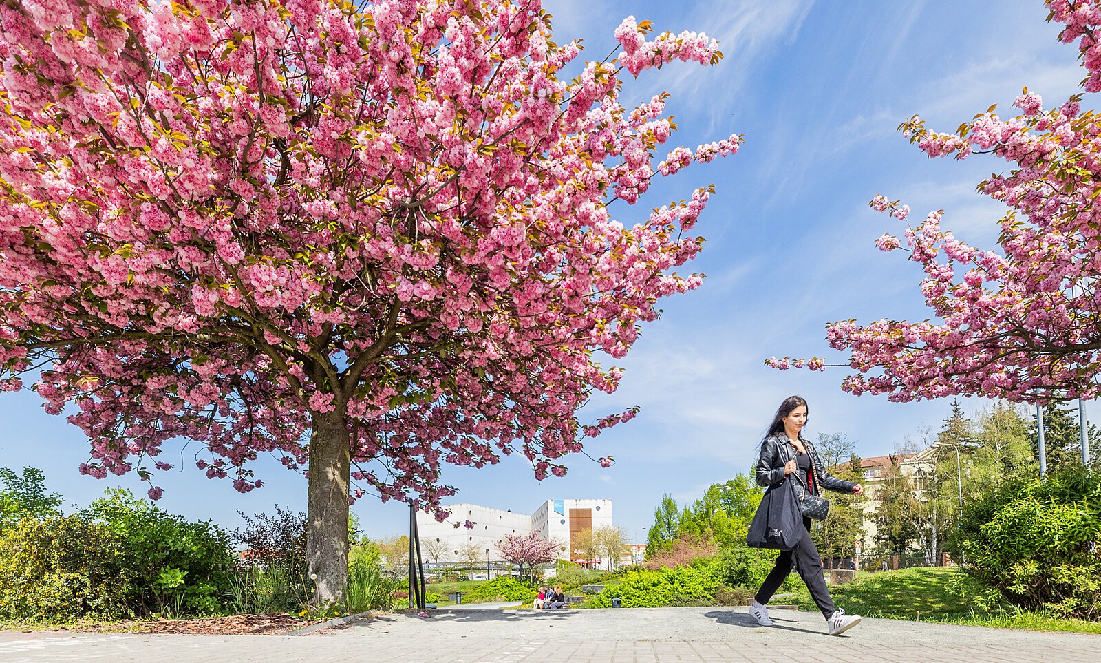 Na dva dny se oteplí až k 20 °C. Pak nastane změna, místy může i sněžit
